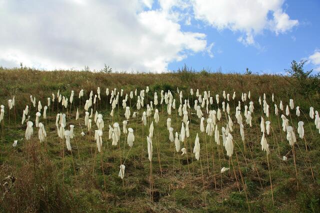 "Handlungen (Feldstudie I)", Installation von Deborah Uhde (Deutschland) - http://www.duhde.de