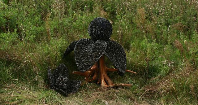 "Solanum Olanum Pratensis Grandis", Objekte von Elke Wessel (Deutschland)