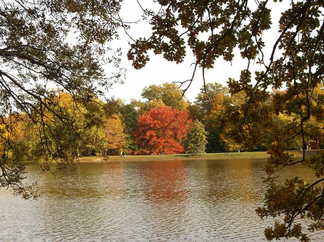 Die Farben des Herbstes - Karlsaue Kassel