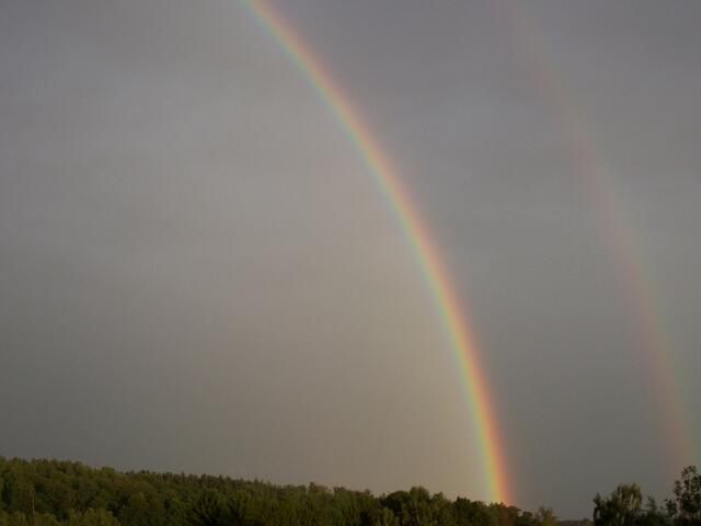 Regenbogen