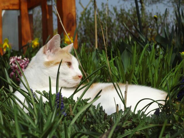Ein Platz an der Sonne