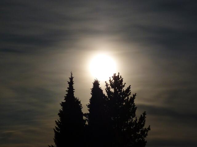 Das Licht des Vollmondes erhellt die Nacht