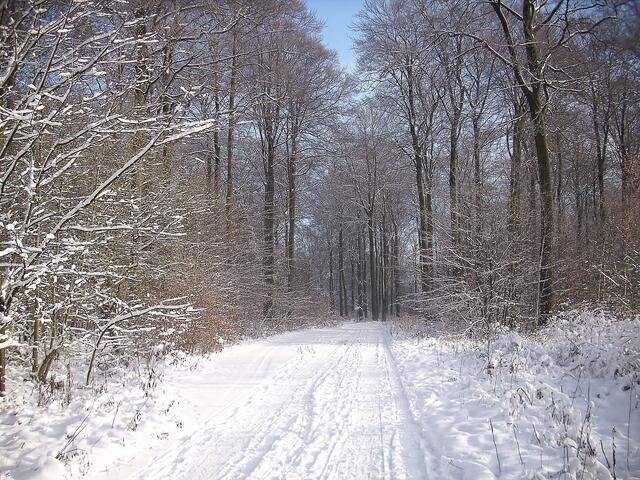 Schnee im Deister!