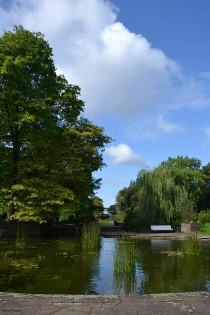 100 Jahre Stadtpark Hannover: Idylle am Wassergarten (Foto: Katja Woidtke)