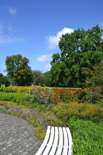 100 Jahre Stadtpark Hannover: Lauschige Plätze laden zu einer Pause ein (Foto: Katja Woidtke)