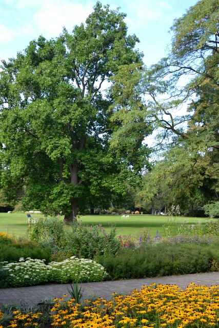 100 Jahre Stadtpark Hannover: Blick über den Großen Staudengarten auf die einladende Rasenfläche (Foto: Katja Woidtke)
