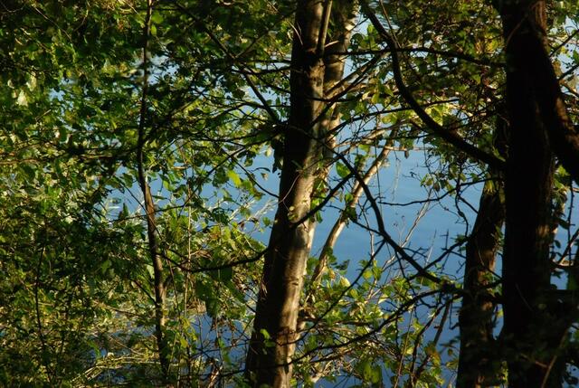 spaziergang um den Schwarzen See in Garbsen Garbsen spaziergang um den Schwarzen See in Garbsen Garbsen