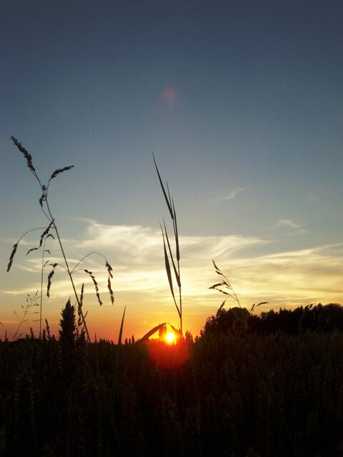 Sonnenunteregang