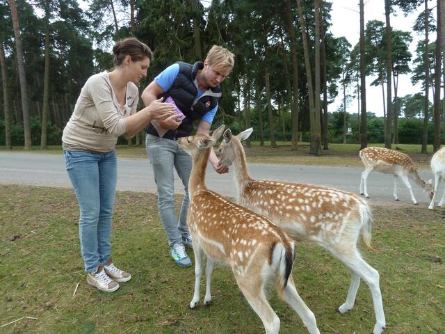 In der Tüte ist noch viel Kraftfutter.