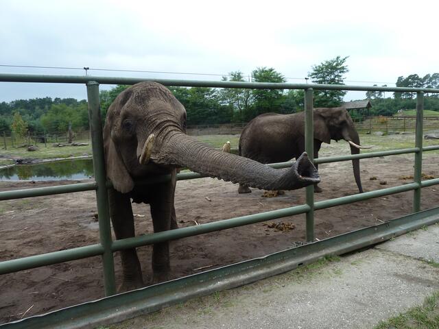 Nun gib mir entlich etwas.