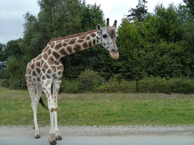 Sie nimmt uns auf´s Korn.