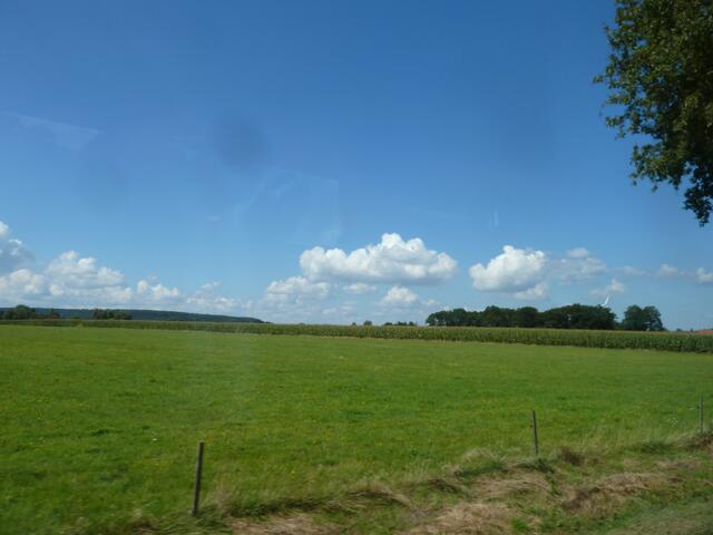 Viel abgeerntete Felder.