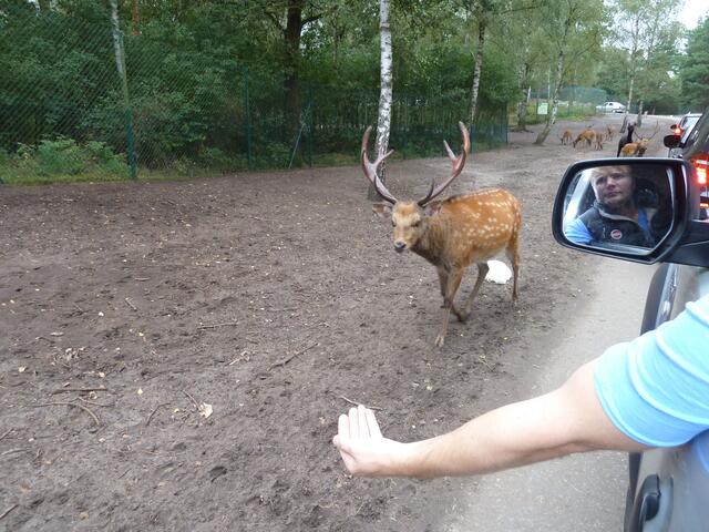 Na,komm schnell her.