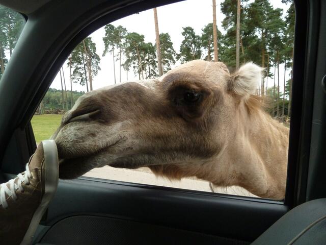 Nun geh endlich weg.