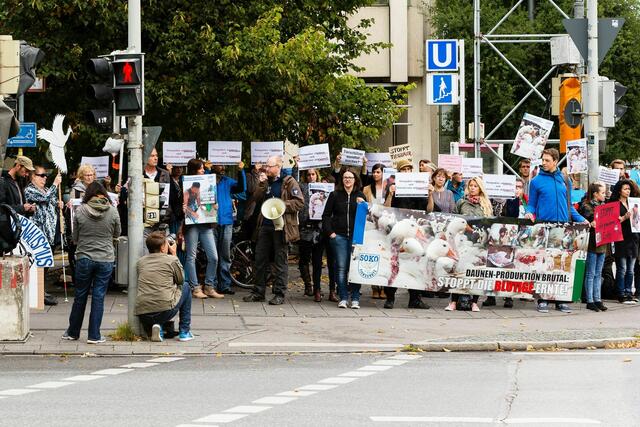 Foto: Norbert Zawe