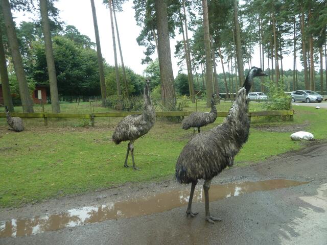 Ihm schmeckten die Finger nicht.