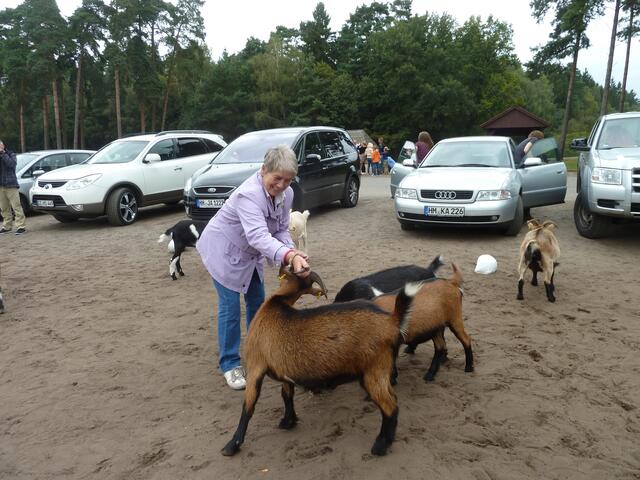 Das konnte sie nicht haben,als ich sie ans Horn anpackte.