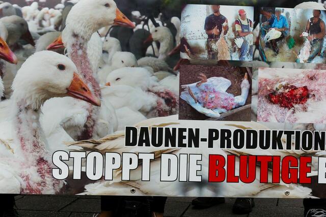 Foto: Norbert Zawe