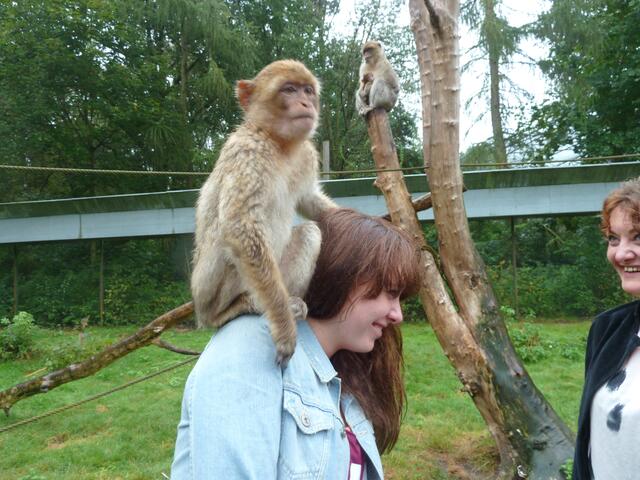 Er fand diese Schulter wohl gut.