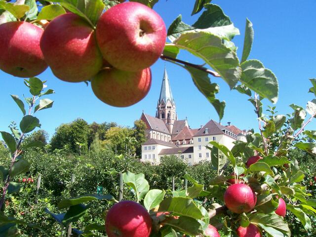 Obstgarten der Benediktinerabtei Sankt Ottilien