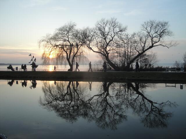 Abendspaziergang am Steinhuder Meer