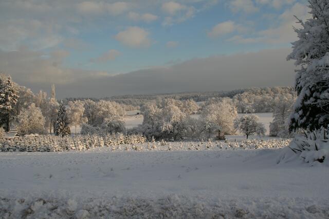 Winter im Wasserschutzgebiet Stadtallendorf