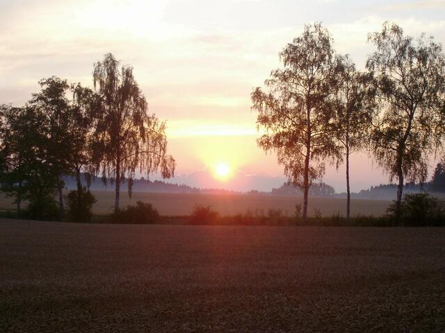 Sonnenuntergang im Juli