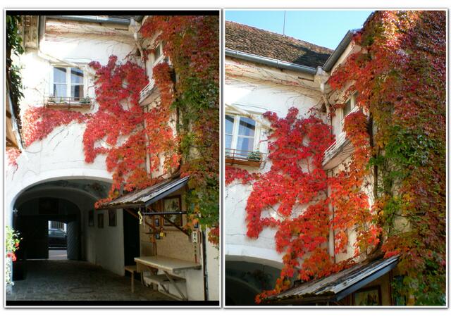 Oktober im Salverbräu-Biergarten in Pfaffenhofen/Ilm