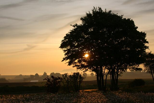 Ein  Maitag beginnt mit einem schönen Sonnenaufgang
