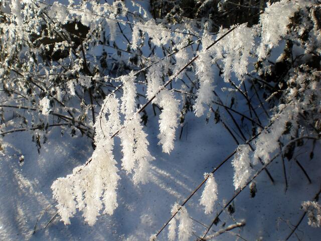 Februar-Licht