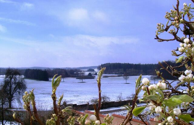 Frühling und Winter an einem Ort