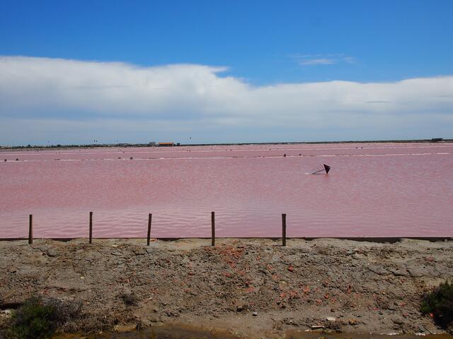 "Rotes Meer" in Südfrankreich