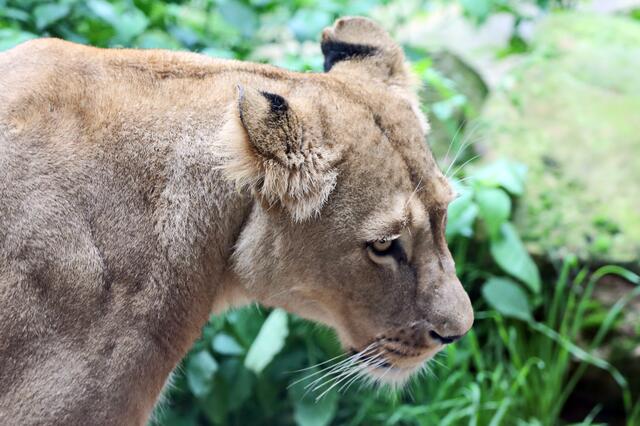Die Mama sieht doch richtig geschafft aus, oder?