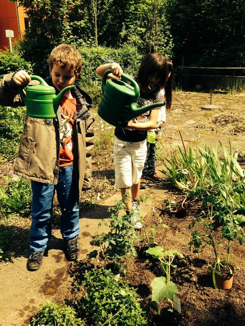 Erstmal wässern. Ein Kind wollte die Pflanze mit dem Topf einpflanzen... Schon wieder was gelernt...