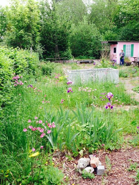 Noch eine Wildnis.. das hintere Beet ist unseres. Die Iris in der Ecke durften natürlich bleiben.