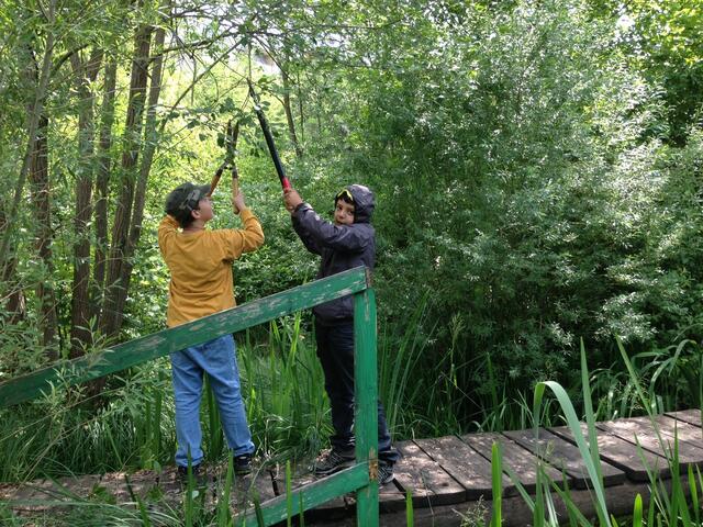 Die großen Jungs durften sich weiter in den Dschungel wagen. Keine Angst... sie tragen Stahlkappenschuhe ;-)