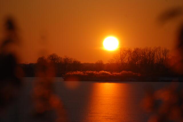 Winterstimmung am Mooswaldsee (Jan-Feb)