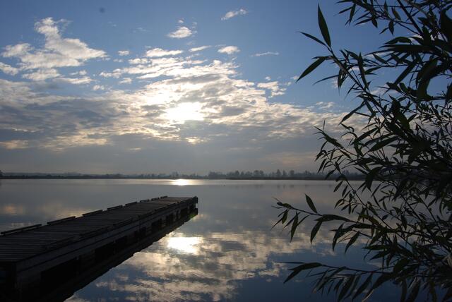 Sommerstimmung am Mooswaldsee