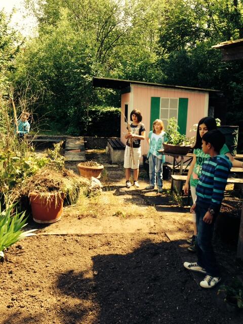 Töpfeweise ausgekrautet! Ich hatte keine Hand zum Fotografieren...