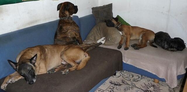Gruppenkuscheln
