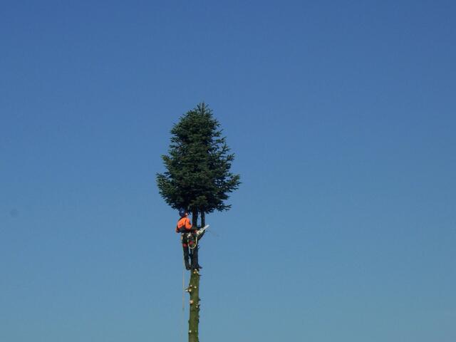 Unter Friedbergs blauem Himmel
