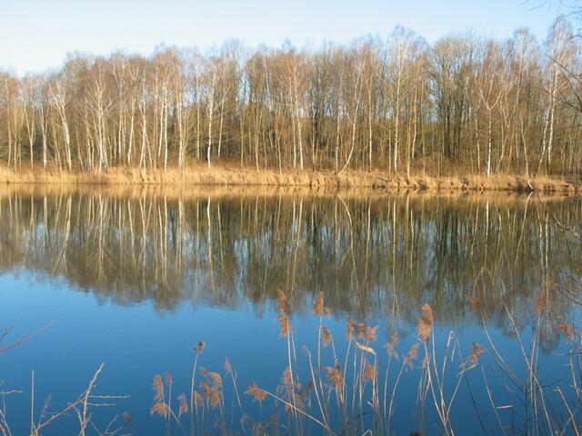 Frühlingserwachen