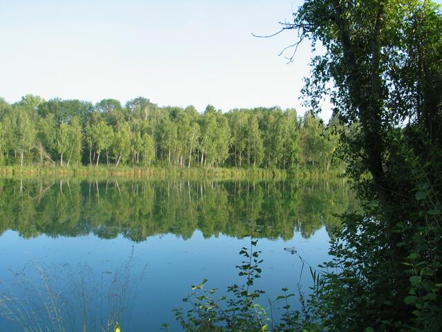 Bald kommt der Herbst: Abendstimmung am Ellgauer Baggersee im September