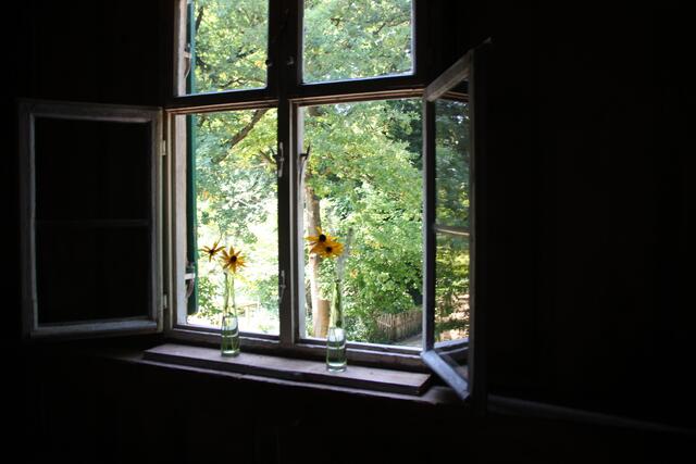 Idylle auf dem Pferdehof