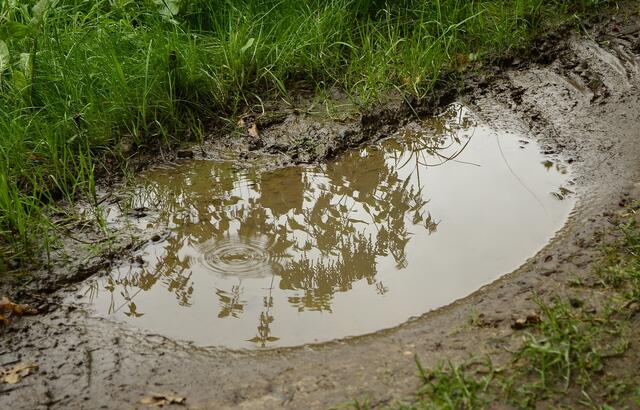 .......es tropft schon wieder - nun aber nach Hause