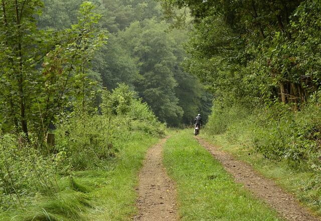 ein 'Moppedfahrer' düst durch's Gelände