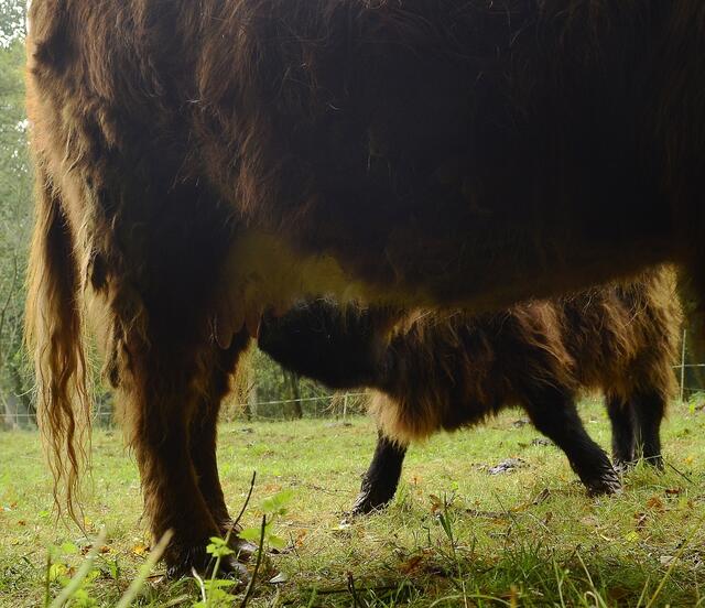 Geschmatze - es schmeckt..................