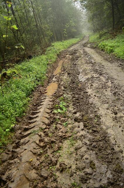 ....so sehen auch dann die Wege  nach dem vielen Regen des letzten Sommers aus - hier bin ich nicht weiter gegangen