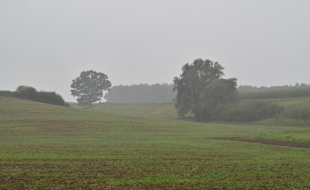 Keine gute Weitsicht