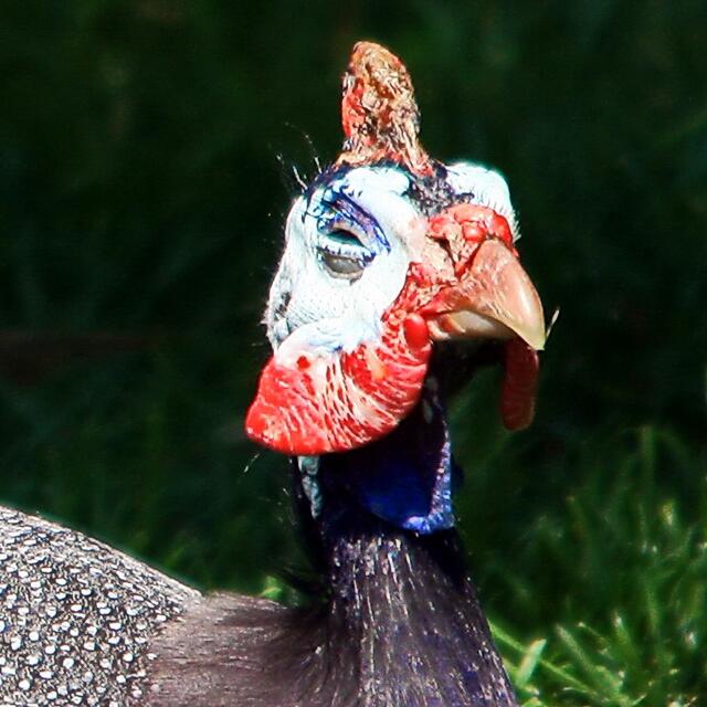 Das ist mir aber dann doch zu blöd, pöh.